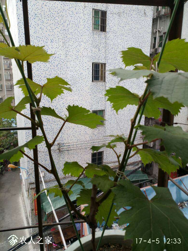 123906jn6ejqncncncpc6c.jpg