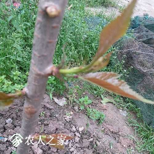 20170405_135755.jpg