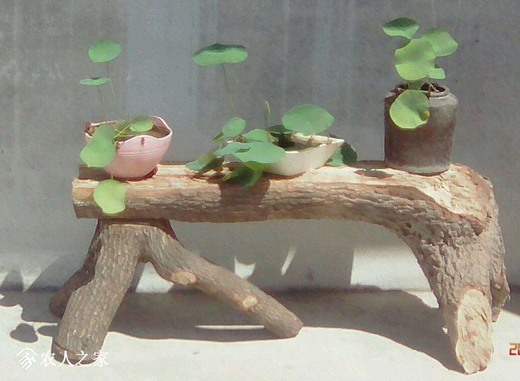 233539ugulm0r9rho91h1l.JPG