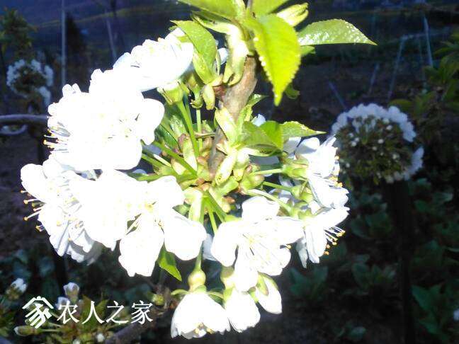 061037r9zqct9ee7fjl07p.jpg