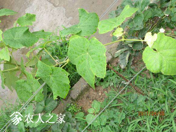 ����17 024.jpg