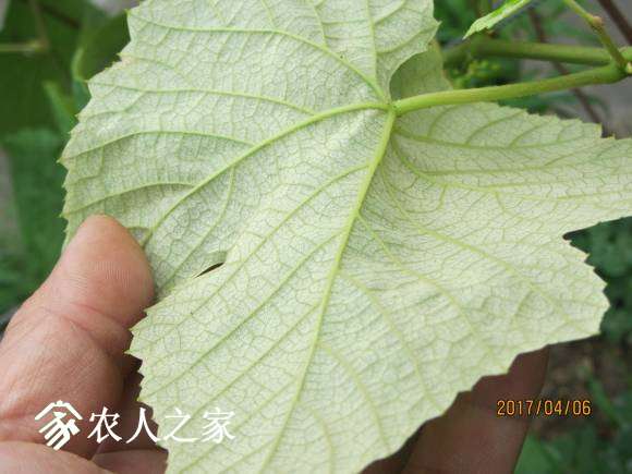 ����17 026.jpg