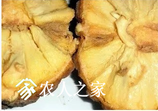 Annona crassiflora 2.png