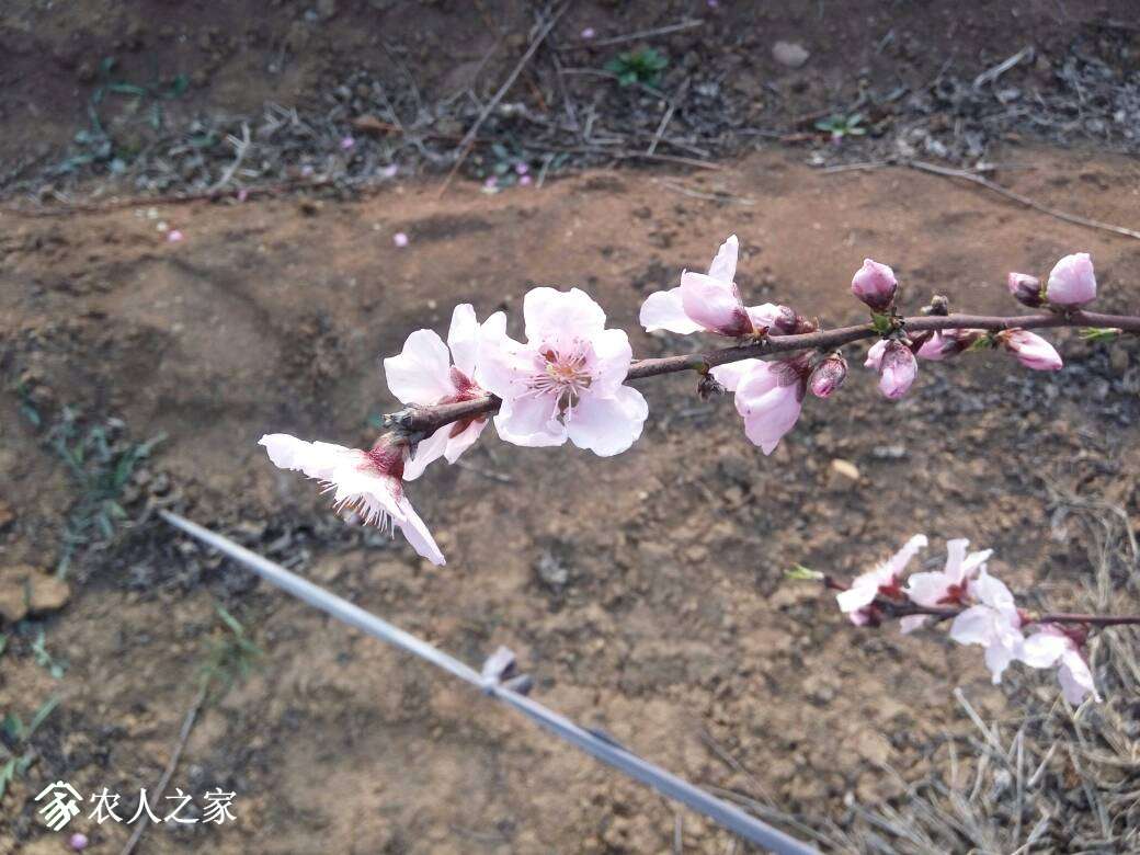 195022c7wai7n7vpns3973.jpg