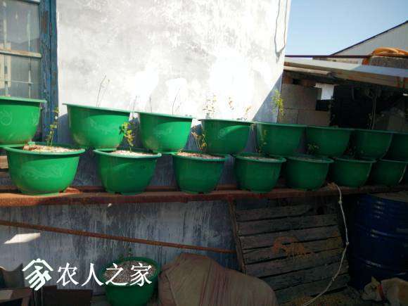 IMG20170404090143.jpg