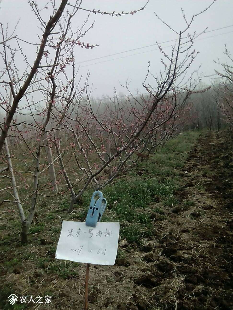 214535tssgsogdwpdgqxu7.jpg