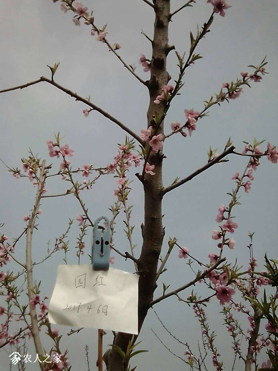 214740uduuqaqq6bqjujqy.jpg