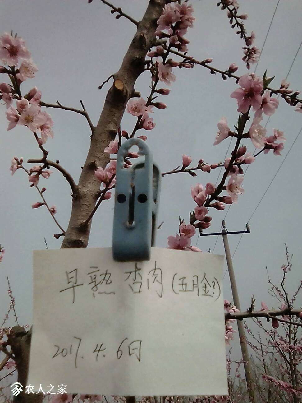 215302leh5asd2e7tstda6.jpg