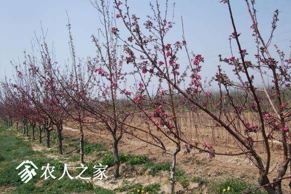 �찮���� 013.jpg