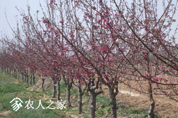 �찮���� 014.jpg