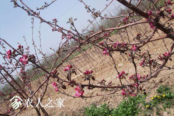 �찮���� 015.jpg