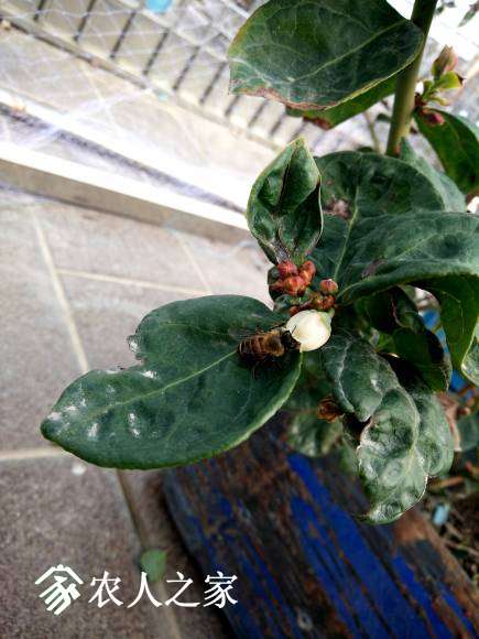 IMG20170201083414.jpg
