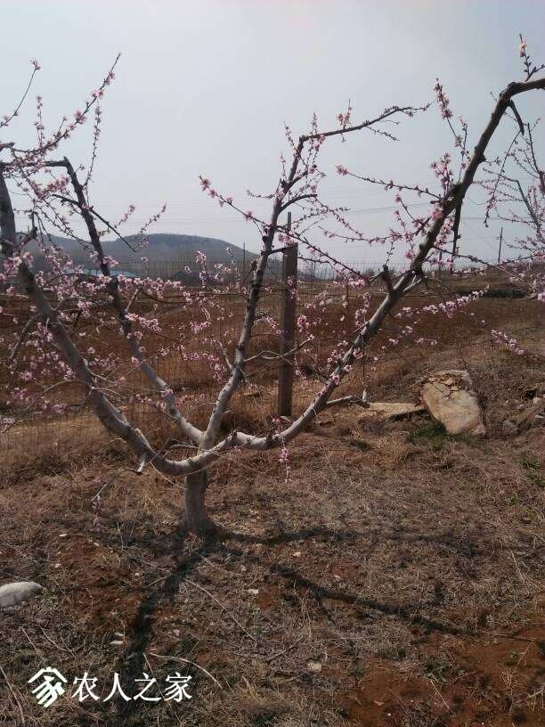 052525cn5yc3dczw7ek232.jpg