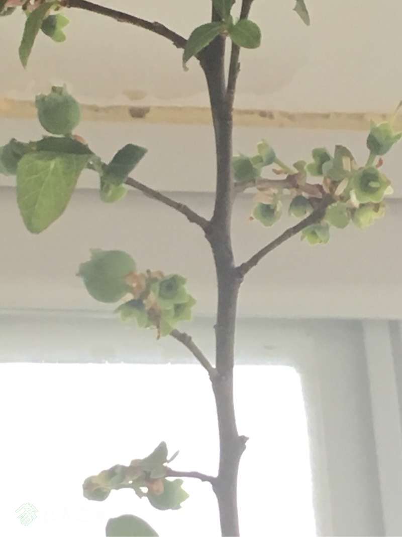 072711ppedn5urfn28cre5.jpg