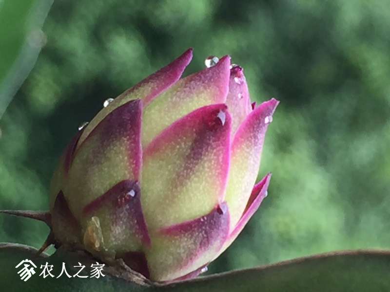 120426wiyz05xyj0b562b6.jpg