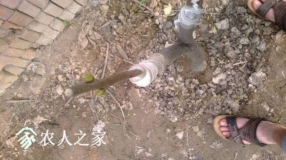 WP_20170407_001.jpg
