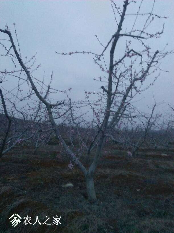 054528i18zvqevnnpq71vq.jpg