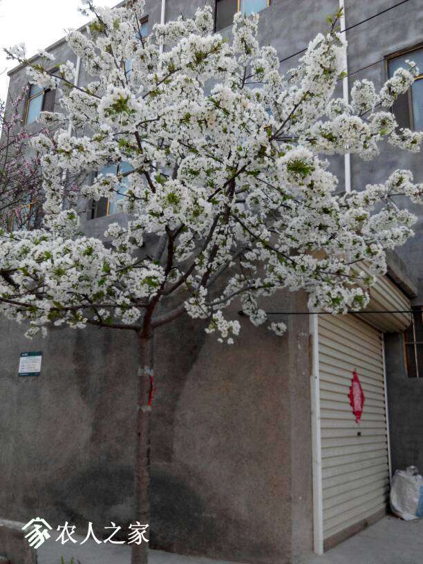 075503yjhkilucpi4a3aam.jpg
