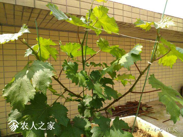 082254pk0788vztl6vv79d.jpg