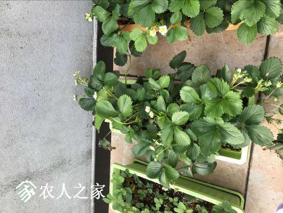 QQͼƬ20170402085709.jpg