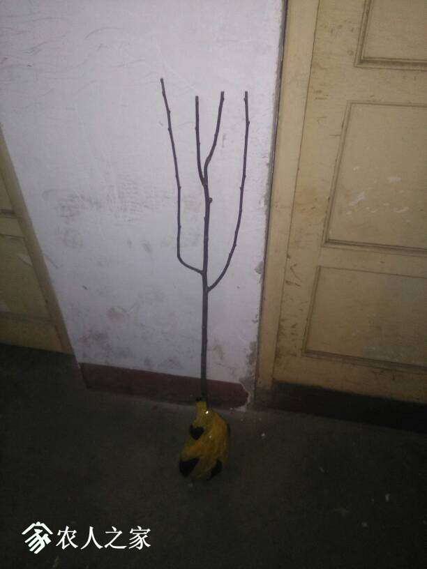 122416cjbddjjawljcbhh6.jpg