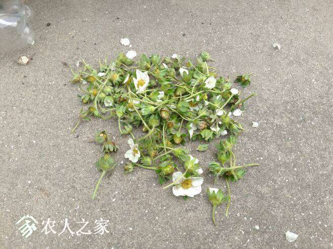 163203mwq4404zomb35ono.jpg