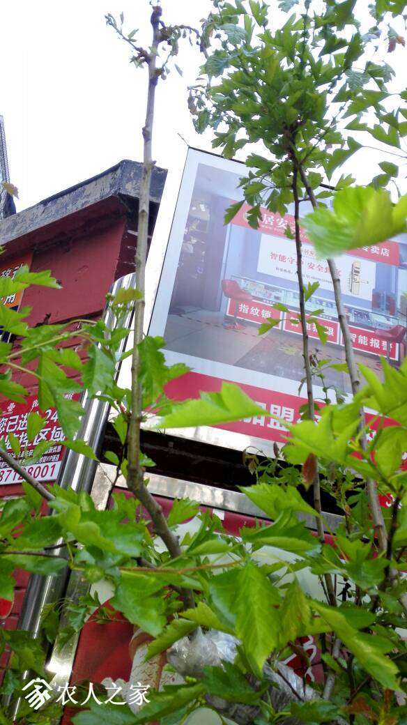 202918sw8fm8a5axao8cuw.jpg