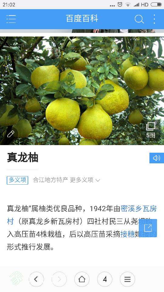 211042p5bdbxosv5854oox.png