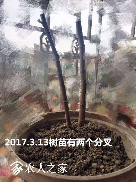 746437148938538220.jpg