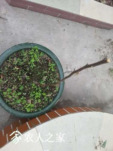 20170408_160112.jpg