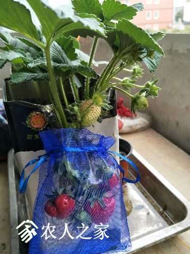 IMG20170324091120.jpg