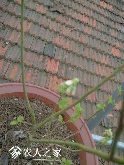 IMG_20170409_152206_AO_HDR_����.jpg