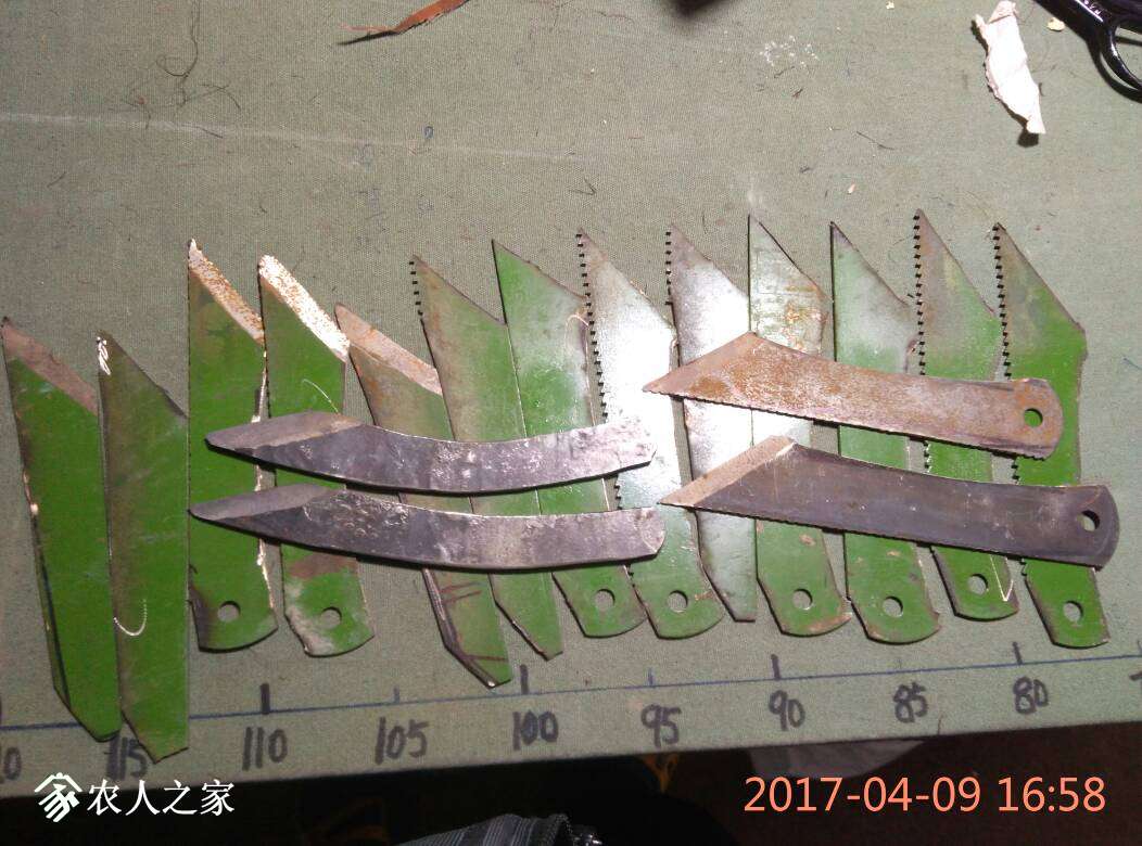171731g2jghfex1jgjhj9g.jpg