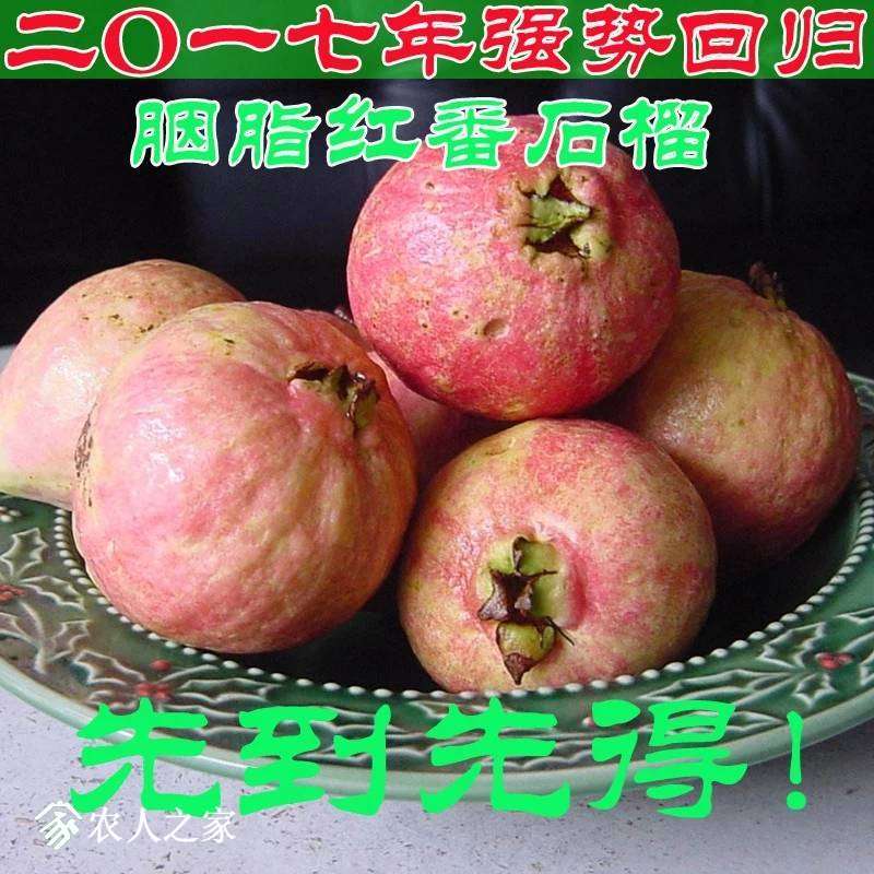 211037fsbewmeseiiszwzb.jpg