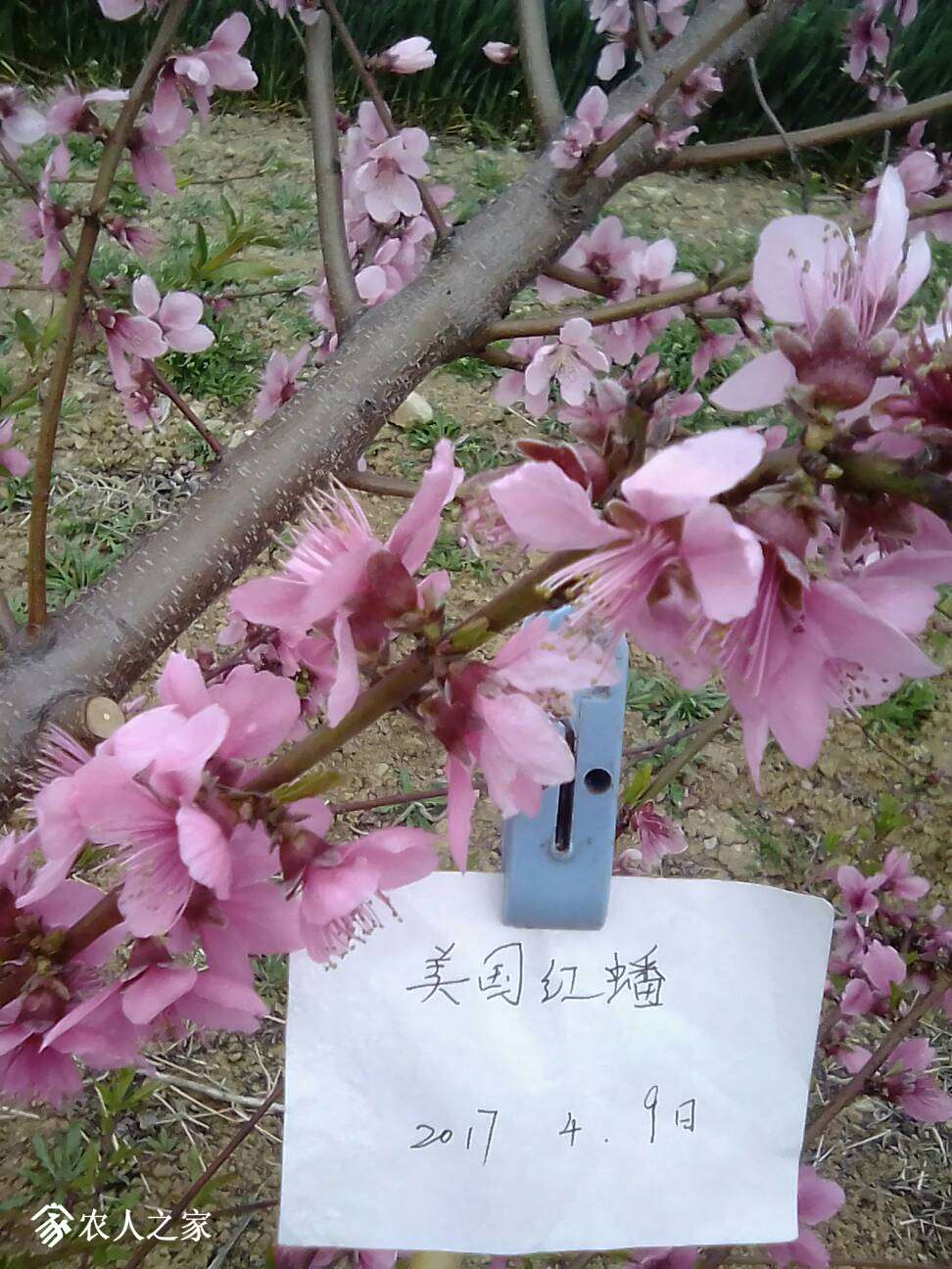 055122f52ljlrhi2hbbne2.jpg
