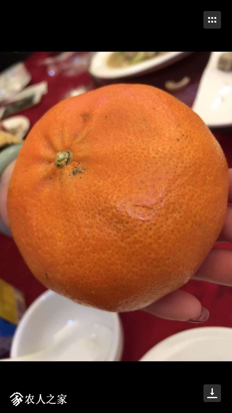 082229owvbmvylzobyvvp0.jpg