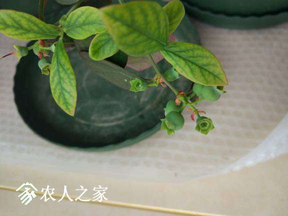 094035yiesm9umlm6eqyqp.jpg