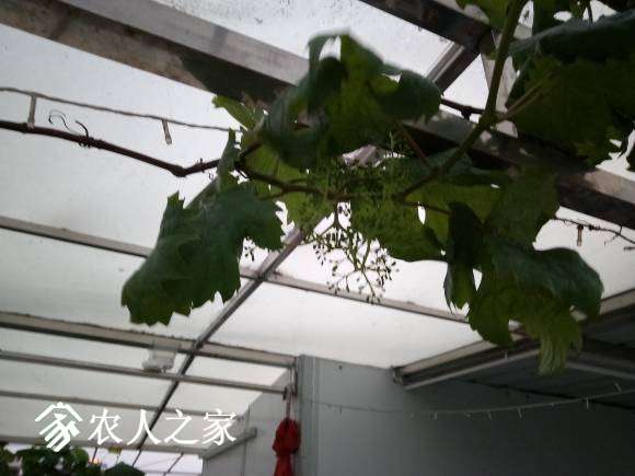 IMG_20170403_184657Լ10ǰ汦20.jpg