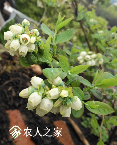 IMG_20170404_184112.png
