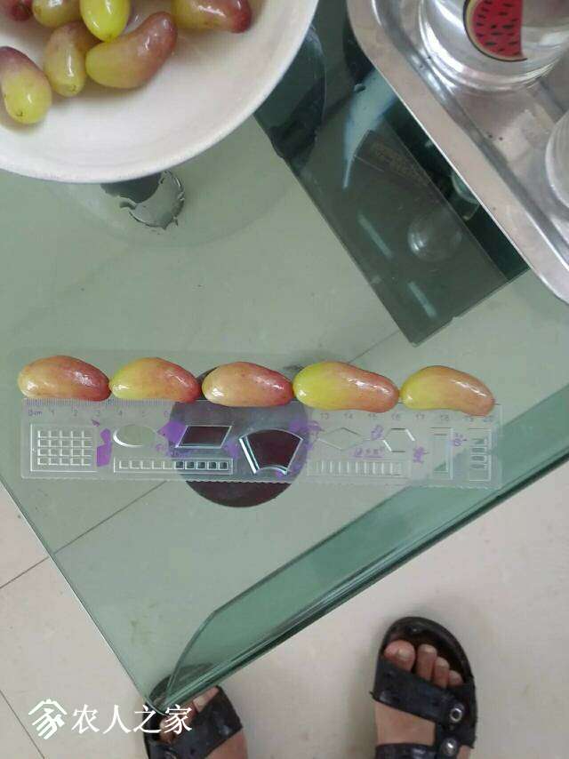 153507j8suq001l8ss0nqu.jpg