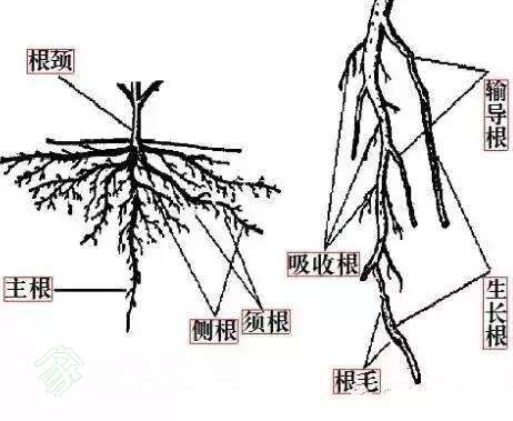 QQͼƬ20170410090539.jpg