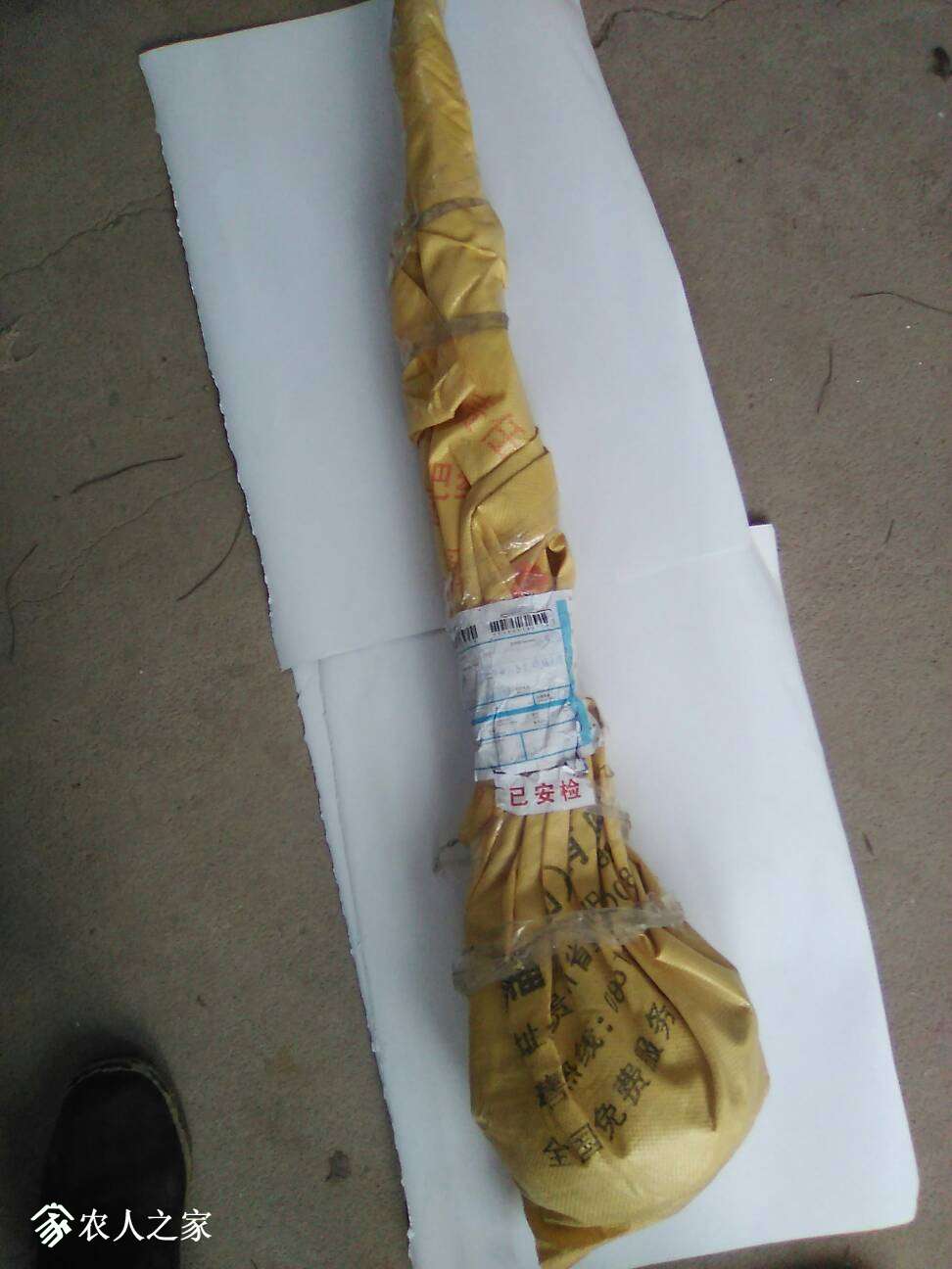154957yexm9mm3x8gwjxtx.jpg
