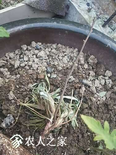 20170410_164144.jpg
