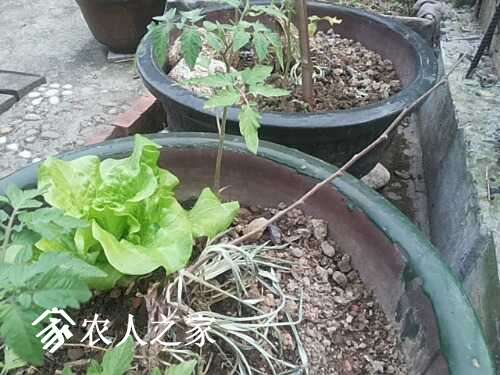 20170410_164221.jpg