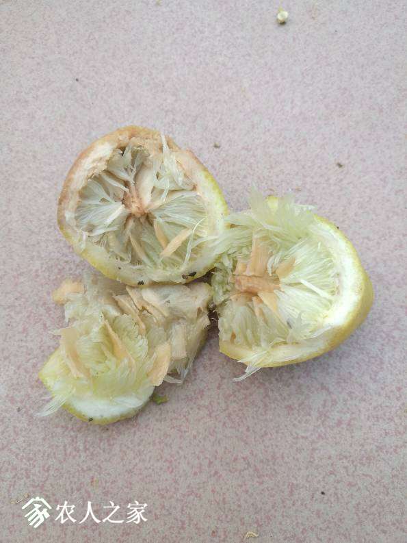 144057xhxdcnaatxrnhckr.jpg