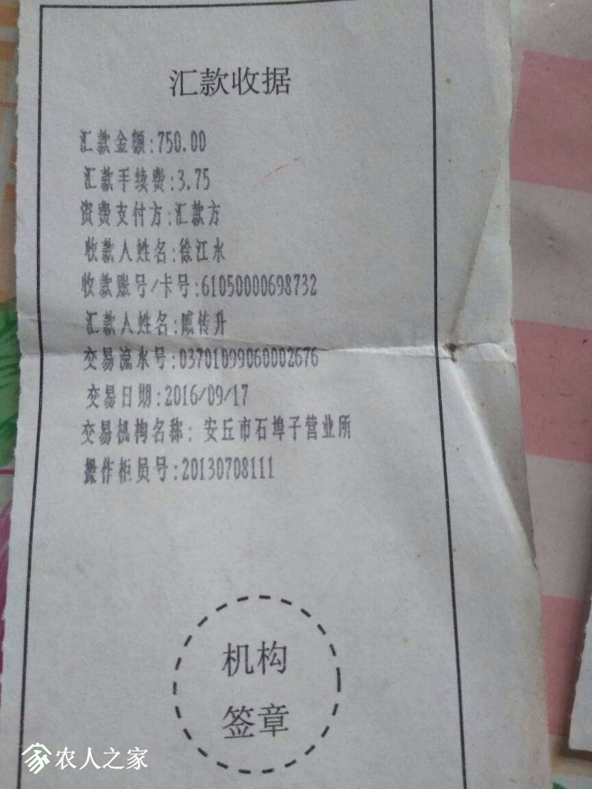 144607jvvv1jvu6scuajvy.jpg