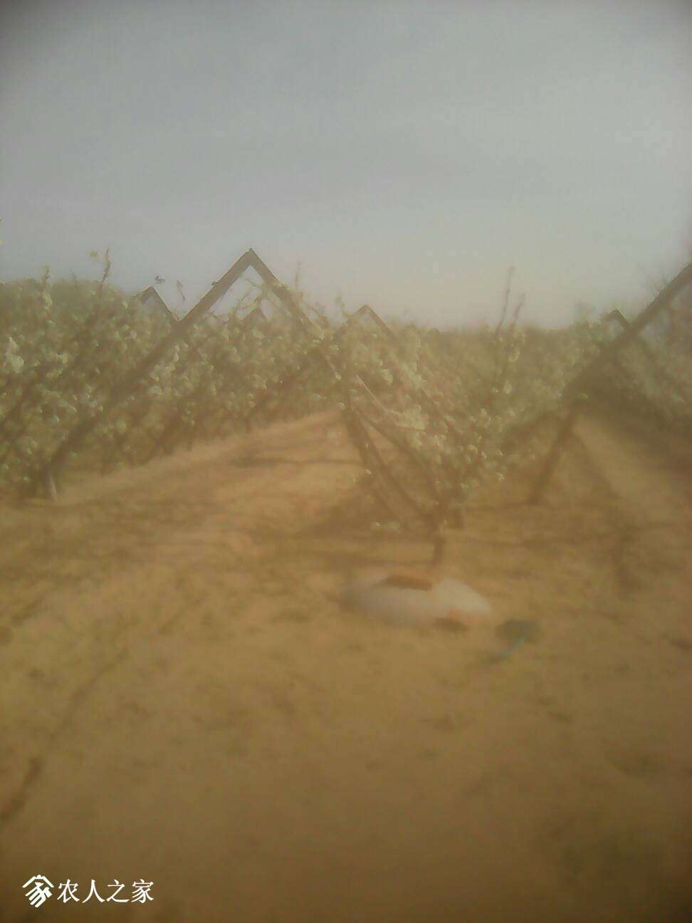 163221a55bazehbxe6ehvl.jpg