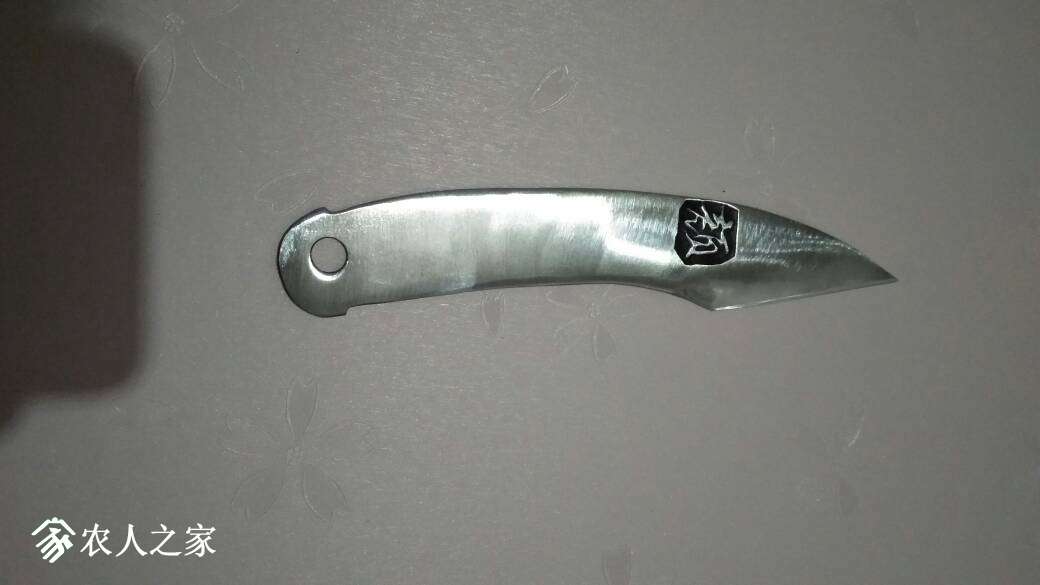 194126ad007wo32fytzov5.jpg
