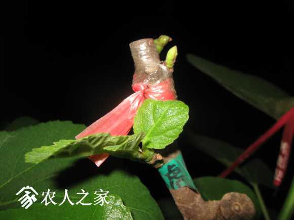 QQͼƬ20170411201102.png