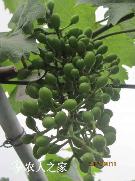 ȫ������ 048.jpg